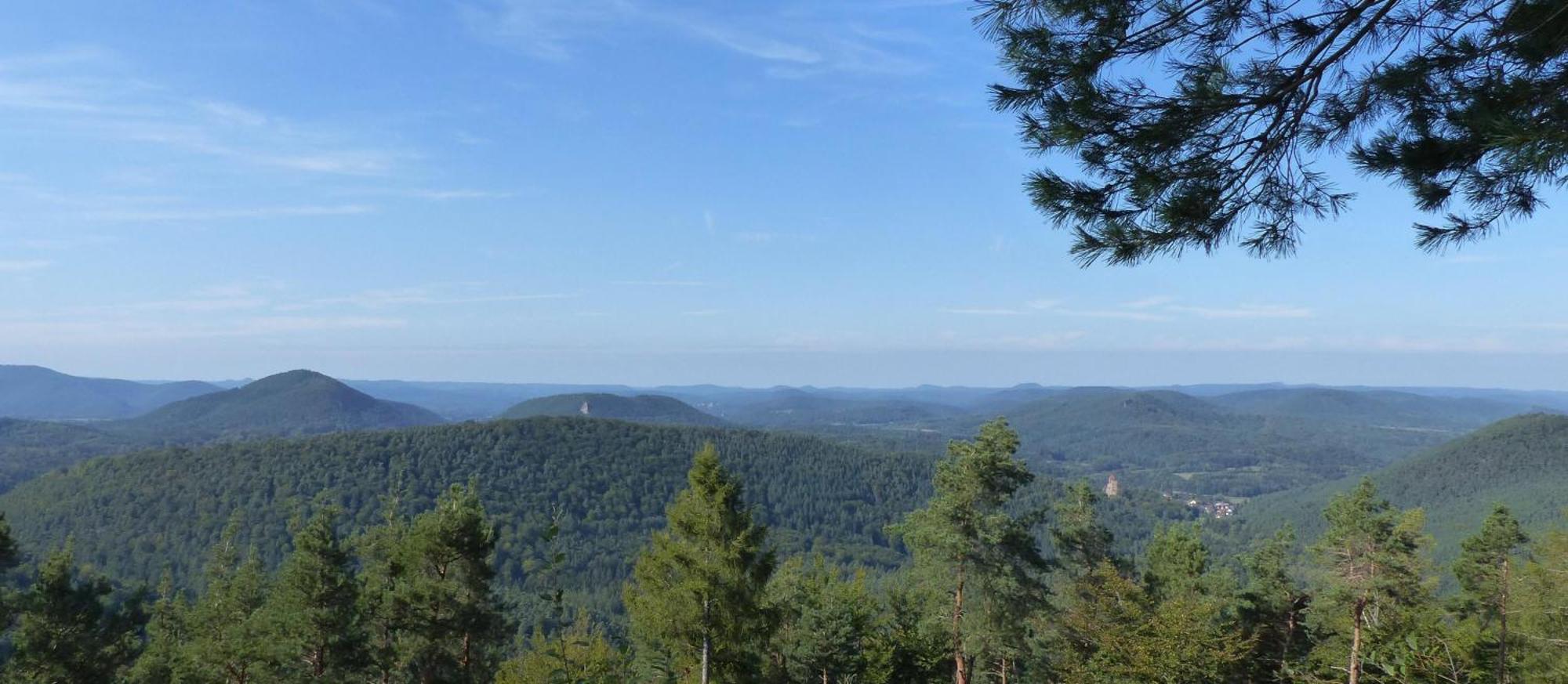 Ferienwohnung "Monte Noble" Suedpfalz Erlenbach  外观 照片