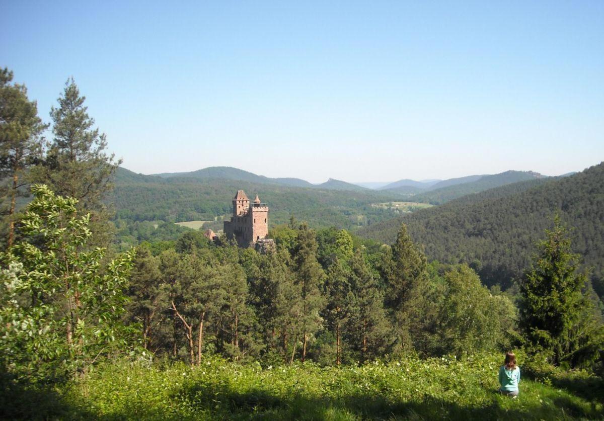 Ferienwohnung "Monte Noble" Suedpfalz Erlenbach  外观 照片