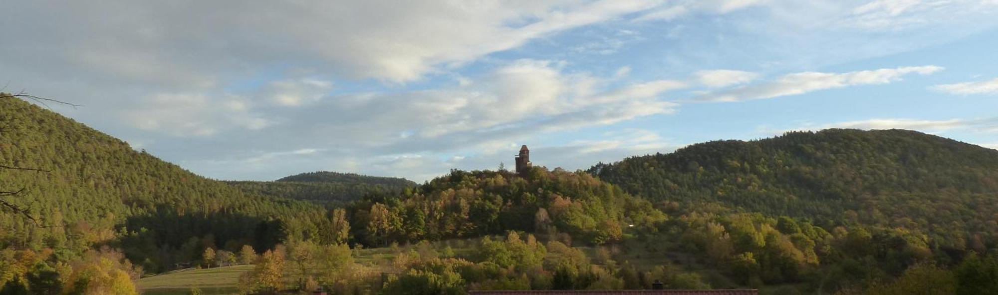 Ferienwohnung "Monte Noble" Suedpfalz Erlenbach  外观 照片