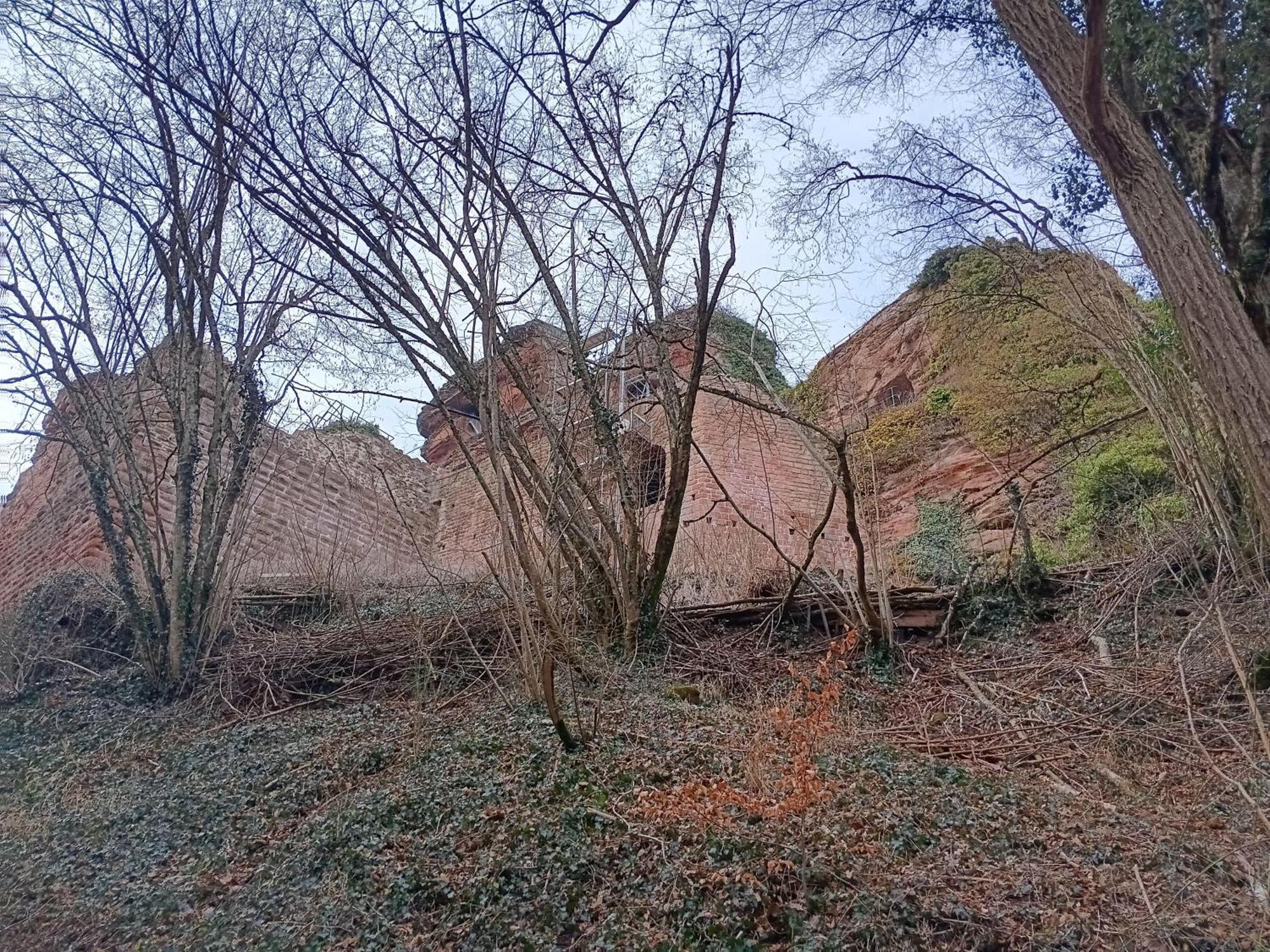 Ferienwohnung "Monte Noble" Suedpfalz Erlenbach  外观 照片